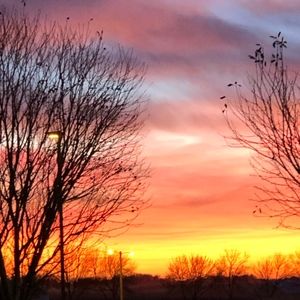 Meet your Posher, Posh